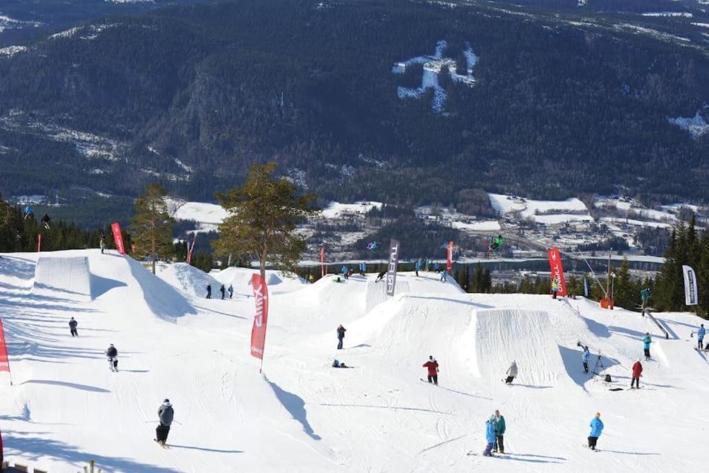 Leilighet Med Panoramautsikt Sjusjoen Innendors Parkering Eksteriør billede