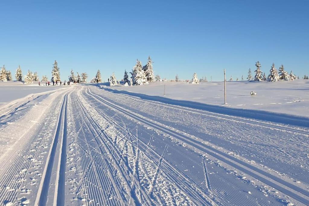Leilighet Med Panoramautsikt Sjusjoen Innendors Parkering Eksteriør billede
